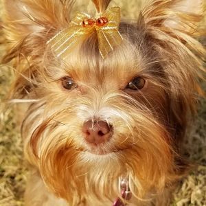 Meet your Posher, Mechelle